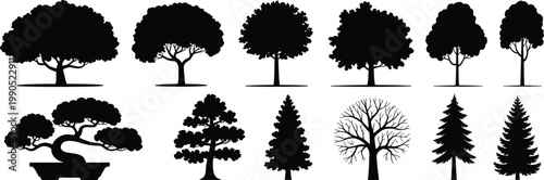 Collection of black silhouettes of various trees and a bonsai white nature