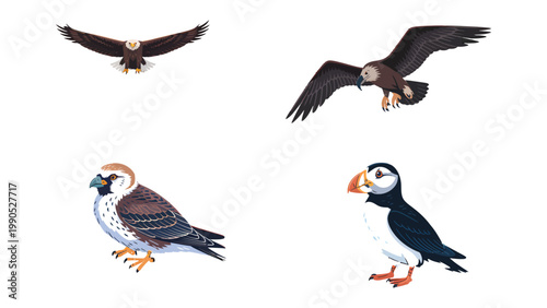 Majestic Birds in Flight and Stillness: An avian panorama showcases the varied beauty of different bird species, capturing their grace, power, and vibrant colours against a pristine backdrop. 