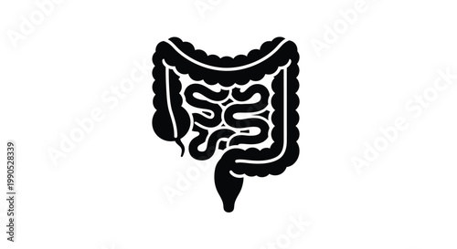 Detailed human intestine illustration with a black silhouette on transparent background