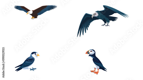 Soaring Avian Quartet: Four magnificent birds in flight, each showcasing unique beauty and aerial prowess against a pristine backdrop. 