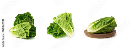 Cuadro en lienzo Two romaine lettuce salad isolated