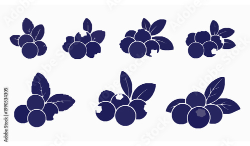 Blueberry silhouette vector illustration fruit berry botanical set