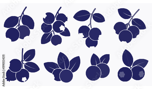 Blueberry fruit silhouette vector set botanical berry illustration