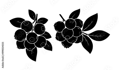 Blueberry silhouette vector fruit berry cluster leaves isolated set