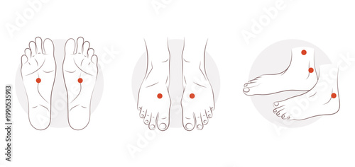 Acupressure points on the foot