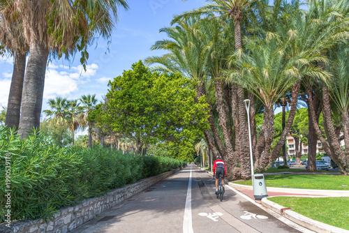 Cyclist riding along a palm tree-lined pathway in Cannes, France, showcasing lush greenery and a clear blue sky in a vibrant urban environment