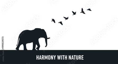 Silhouette of a majestic elephant walking with a flock of birds flying above.