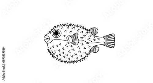 Black and white illustration of a puffer fish with spiky skin and detailed fins