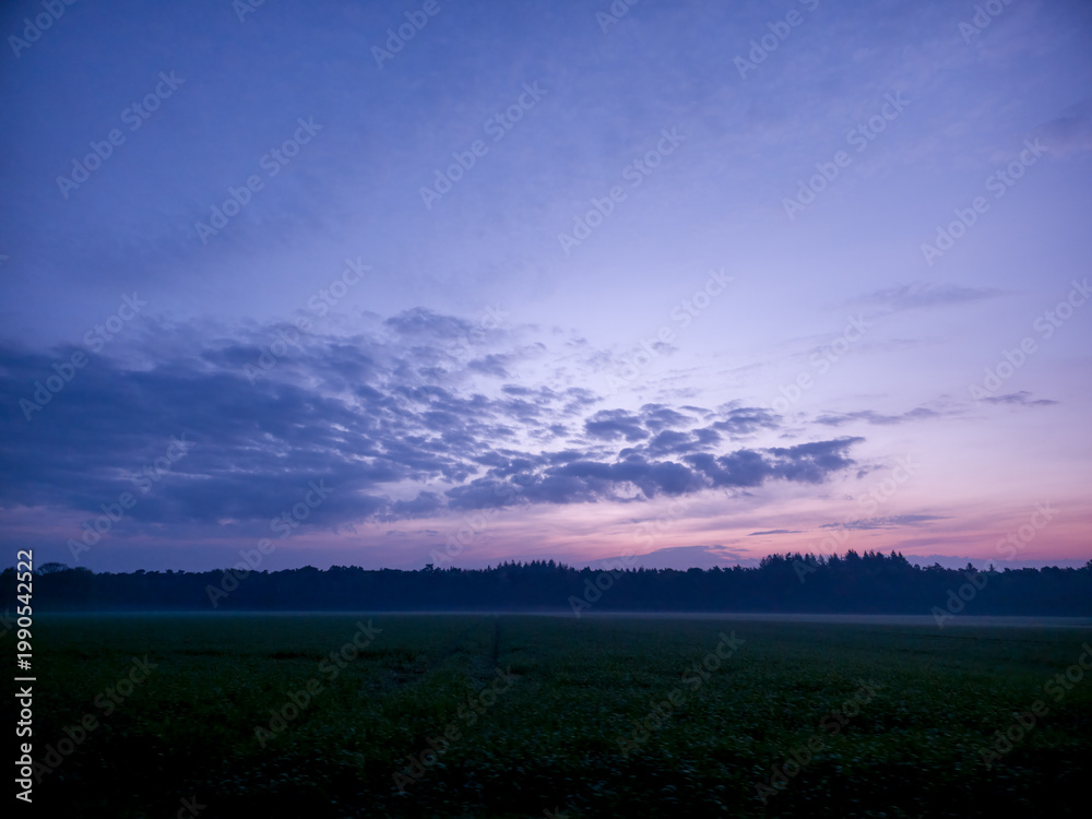 Fototapeta premium Dawn with a violet sky and silhouettes of trees in the foreground, view over a misty field during the early morning near 49424 Goldenstedt, Vechta district, Germany