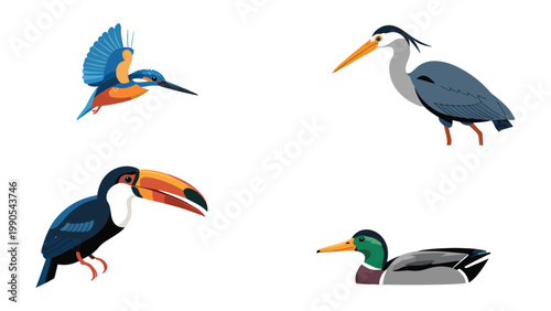 Avian Quartet: Four vibrant illustrations showcase the beauty and diversity of birds, featuring a kingfisher in flight, a heron standing tall, a toucan with its distinctive beak.