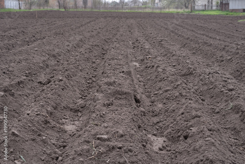 Prepared fertile soil rows for spring planting and agricultural cultivation in farm field