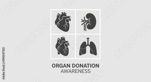 Organ Donation Awareness Icons Heart Kidney Lungs.