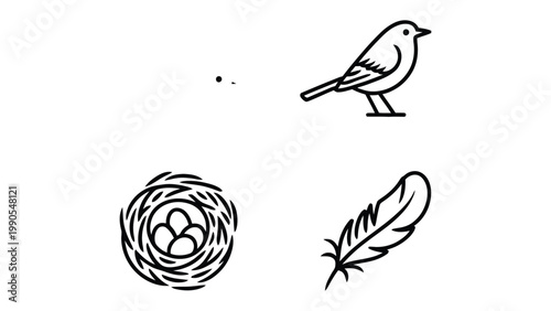 Avian Elements: A minimalist illustration set depicting essential aspects of bird life. Including an outline of a bird, nest, feather and more.