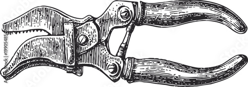 Vintage pruning shears illustration hand drawn garden tool with curved handles and sharp blades for cutting plants