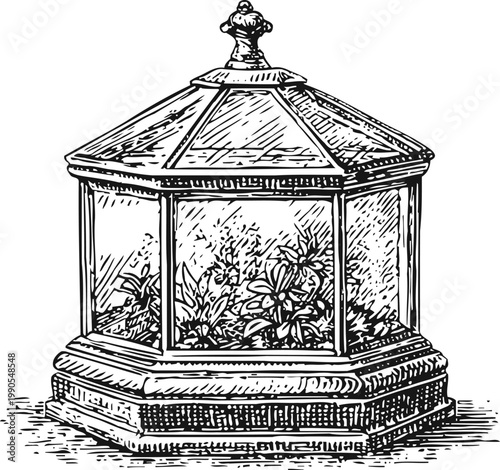 Hexagonal vintage glass terrarium with ornamental plants inside, detailed black and white illustration