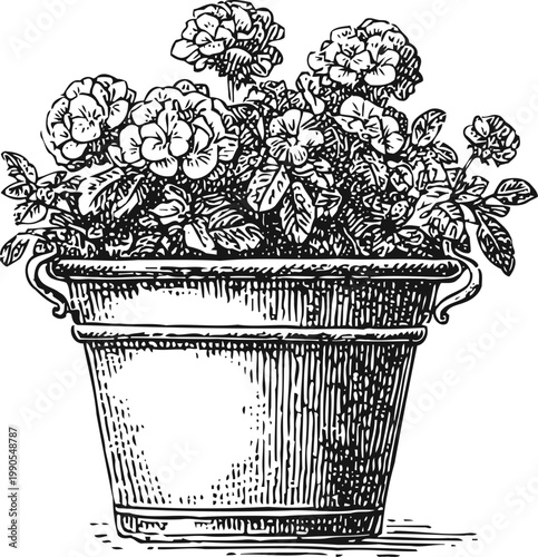 Vintage potted flowers illustration ornate flowerpot with blooming plants and leaves detailed engraving