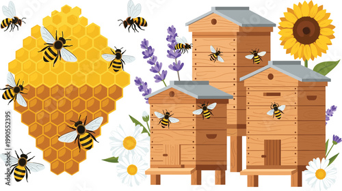Honey Bee Beekeeping Vector Illustration Set Featuring Wooden Beehives Golden Honeycomb Flying Bees Lavender Flowers and Sunflower for Organic Honey Production Farm and Nature Graphic Design