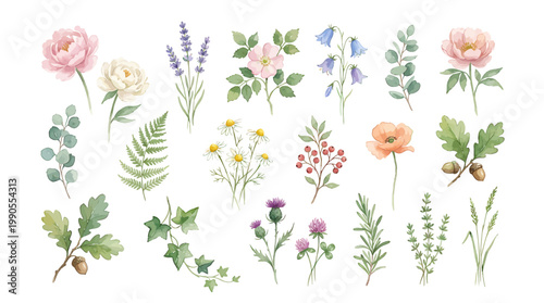 A beautiful collection of watercolor botanical illustrations featuring various wild and garden flowers, leaves, and plants.