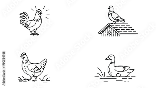 Farm Birds Illustrations: A set of charming line drawings featuring a rooster, dove, hen, and duck, each capturing the essence of farm life.