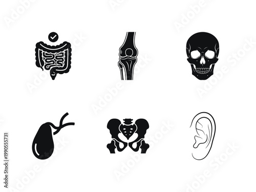 Set of human anatomy icons including intestine, knee joint, skull, gallbladder, pelvis and ear