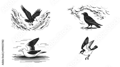 Avian Ensemble: An elegant monochrome composition showcasing four distinct bird illustrations, each capturing a unique pose and personality of nature's winged wonders.