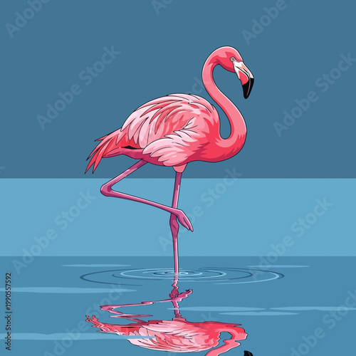 Pink Flamingo Standing in Water Reflection.