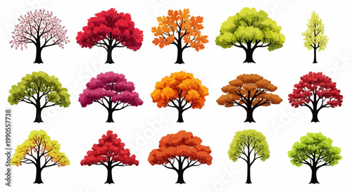 Colorful seasonal tree collection, set of 15 flat vector trees in autumn and spring colors, vibrant foliage icons for landscape design and infographics