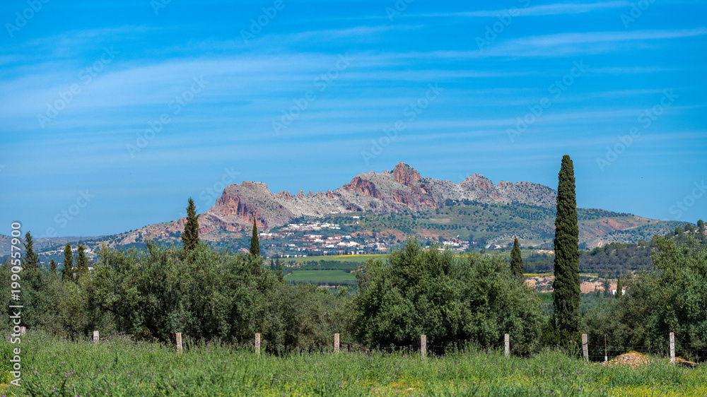 Obraz premium Paysage montagneux au printemps dans le nord-ouest de la Tunisie
