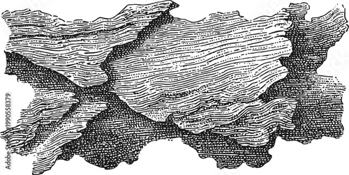 Vintage wood texture illustration with detailed grain and bark patterns in black and white engraving