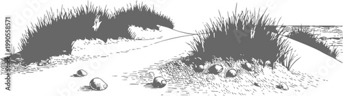 Black and white sketch of a coastal dune landscape with beach grass and scattered shells