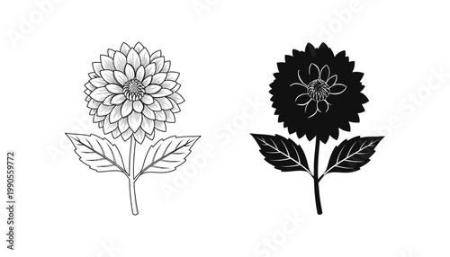 Dahlia flower botanical illustration vector icon set featuring detailed floral art and solid silhouette for gardening and nature design themes in black and white style for high-quality graphic assets