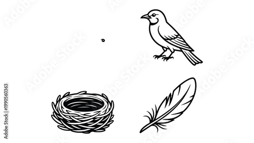 Sketch of Bird, Nest, and Feather: A delicate line drawing captures the simplicity of nature, featuring a songbird, a cozy nest, a single feather, and a small speck representing a seed.