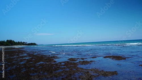 Low Tide Exposed Coral Reef Flat with Seaweed and Turquoise Ocean Shoreline Under Clear Blue Sky - 4K footage