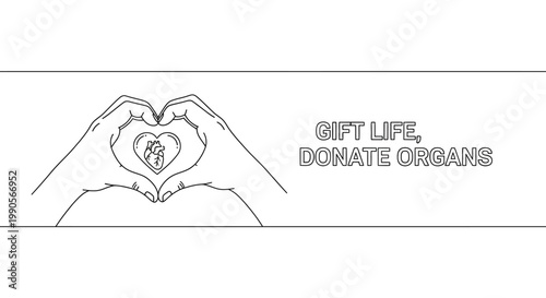 Hands forming heart shape with organ inside.