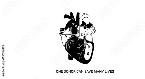 Human Heart Organ Donation Symbol.