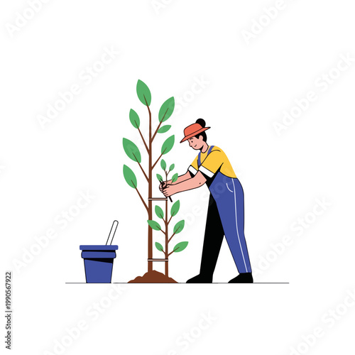 Woman pruning a young tree. Professional gardening and horticulture maintenance graphic. Flat design tree care artwork