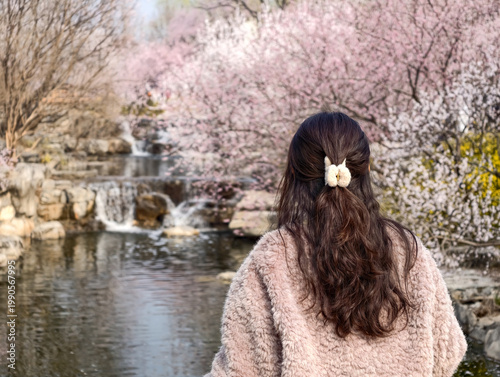Asian woman watching a waterfall and cherry blossoms in the garden. Relax, park and holiday concept