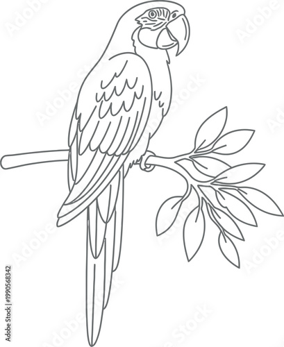 Beautiful scarlet macaw parrot sitting on a slender tree branch in a simple black and white line art drawing style illustration intended for children to color during their artistic school activities