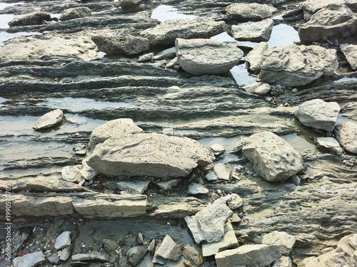 Sea fossil stone texture with ancient marine shells embedded in coastal rock, prehistoric geological formation on beach shore, natural weathered ocean reef stone background for science and nature.