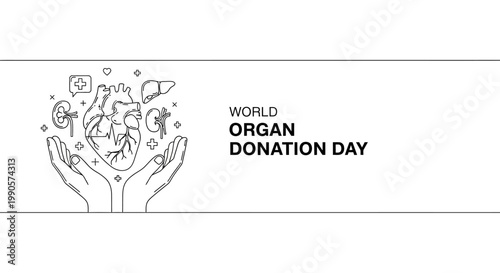 World Organ Donation Day hand drawn illustration with human organs.
