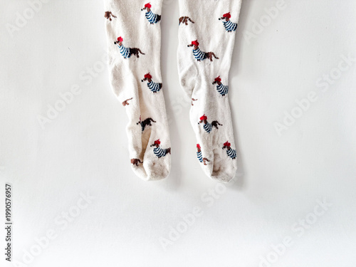 Pair of soft knee-high socks adorned with playful dachshunds