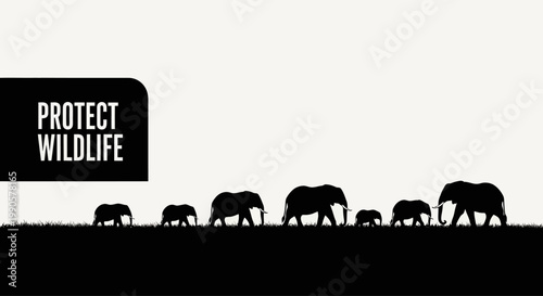 Silhouette of a herd of elephants walking across the savannah.