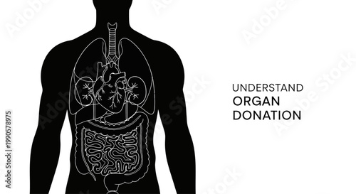Human Anatomy Illustration for Organ Donation Awareness.