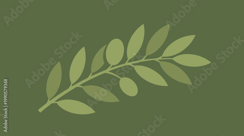 Olive branch on green background.