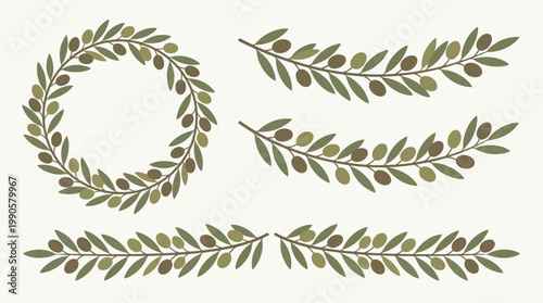 Olive branch illustrations and wreath designs.