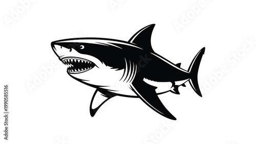 Black and white illustration of a shark with open mouth and sharp teeth swimming in a threatening pose  a symbol of danger in the ocean Vector Illustration