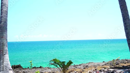 Twin Coconut Palm Trees Framing Calm Turquoise Ocean View with Clear Sky on Tropical Coastline - 4K footage
