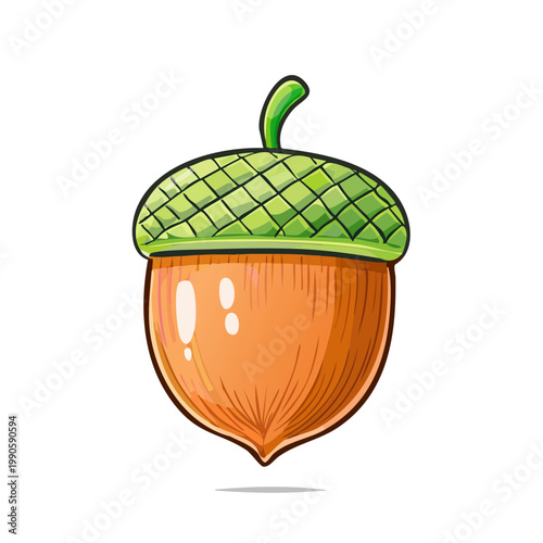 Cute cartoon acorn with green cap and orange nut on white background