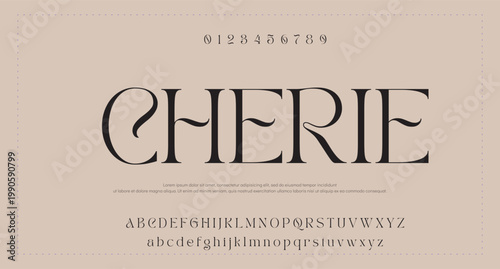 Condensed vector font. Alphabet font with variation and ligature. Classic minimalist font. 