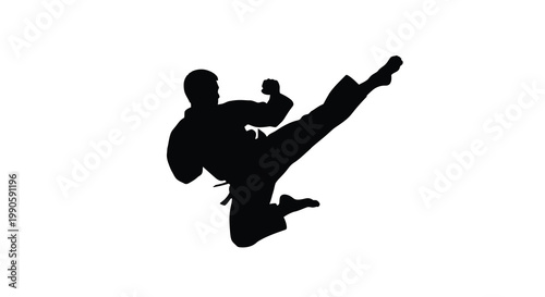 A martial artist performs a dynamic kick in a striking silhouette